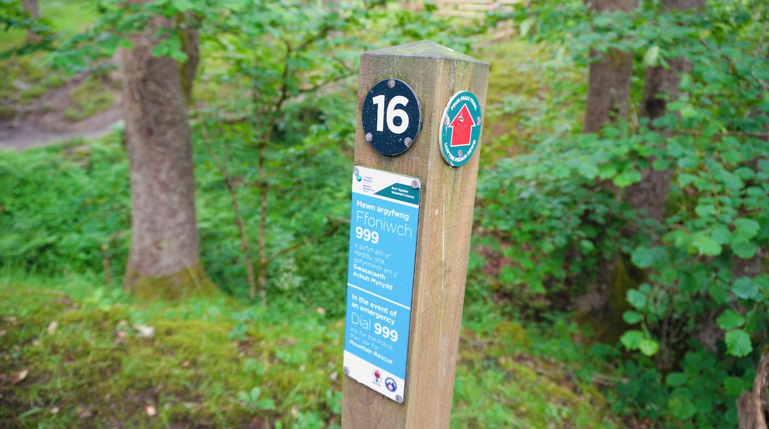 Walking_Markers Walking_Markers