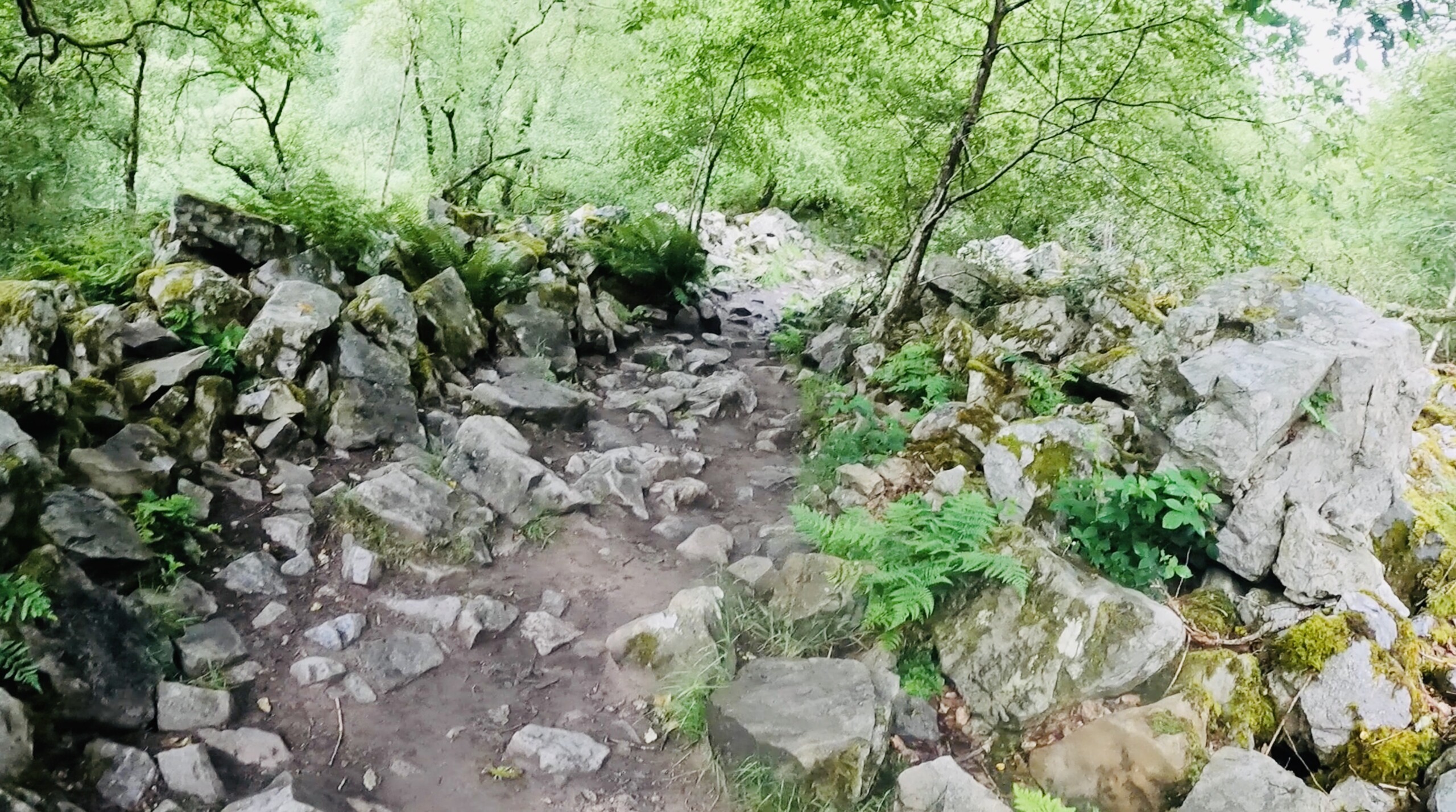 Uneven terrain – four waterfall walk Uneven terrain - four waterfall walk