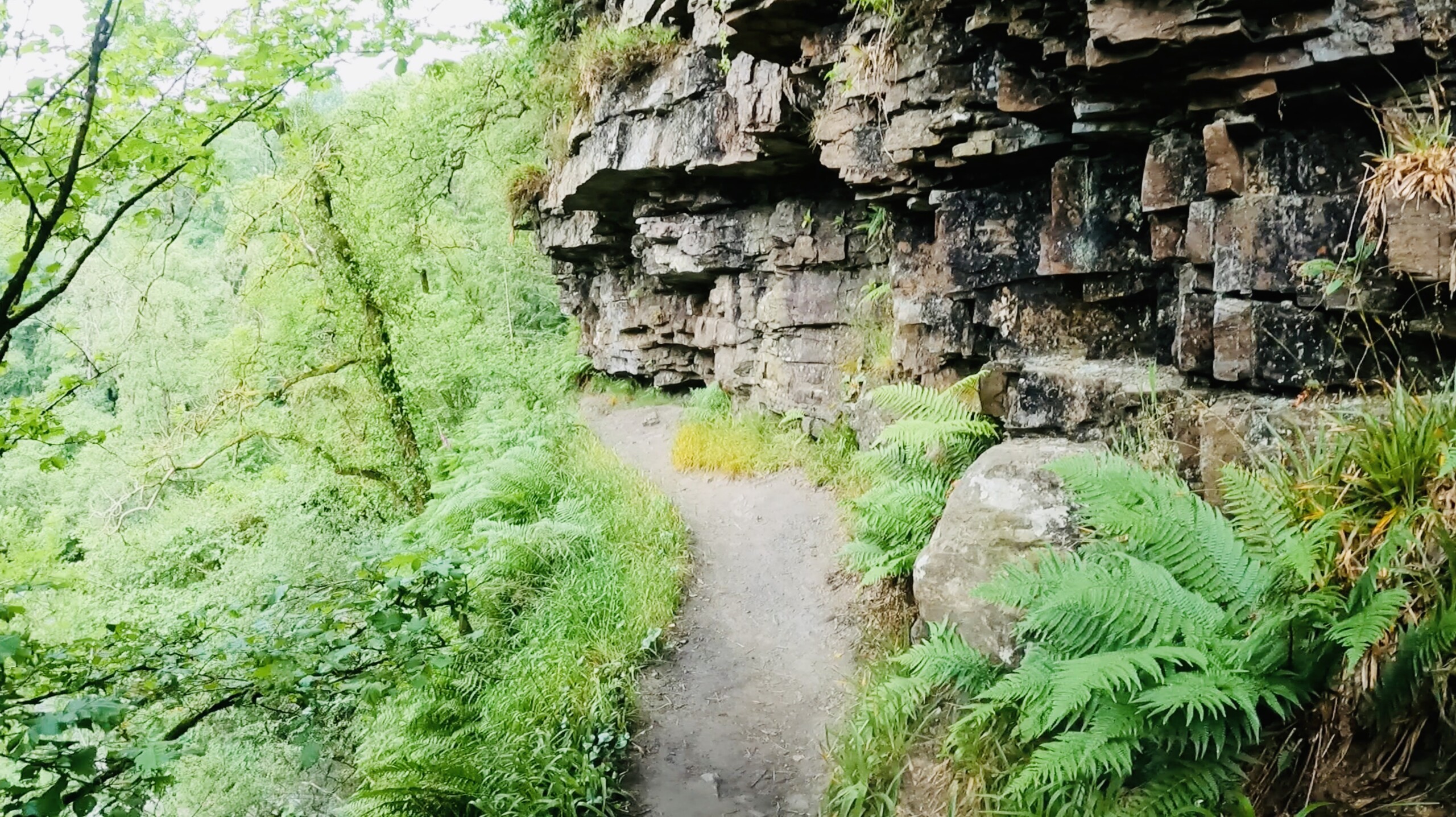 Valley Cliff Face Valley Cliff Face