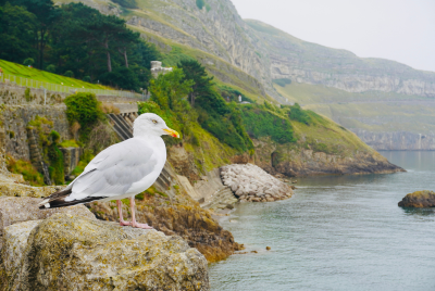 Llandudno North Wales