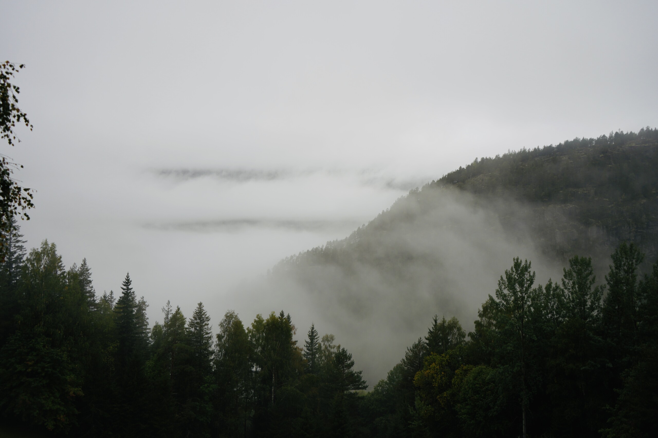 View_From_The_Cabin Great views at the cabin.