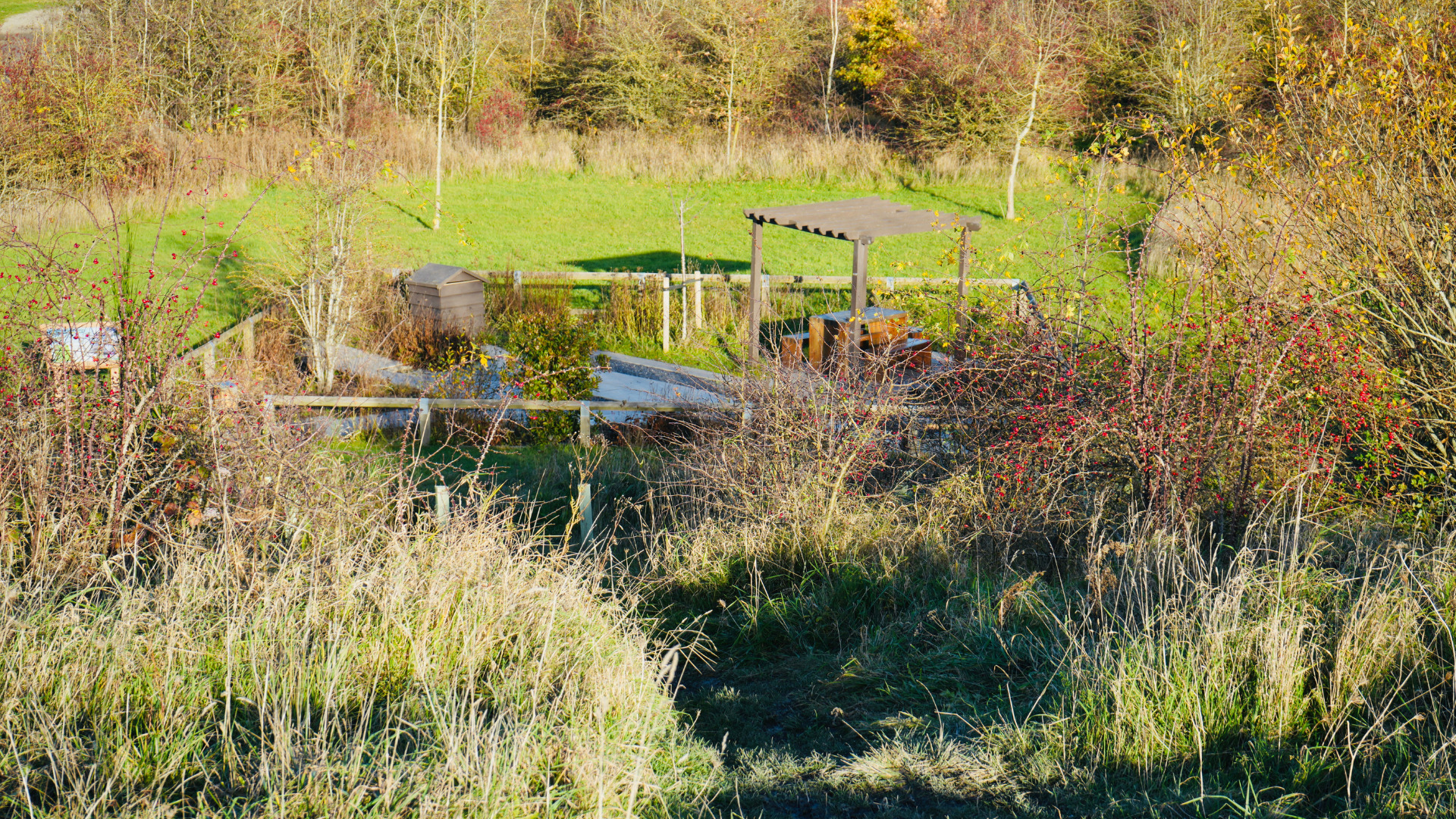 The_Ivan_Gollop_Bee_Garden_Gedling_Country_Park The Ivan Gollop Bee Garden at Gedling Country Park