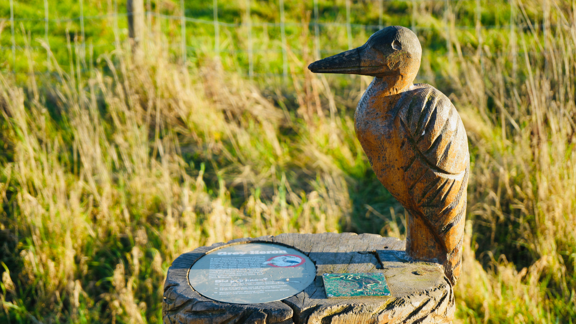 Gedling_Country_Park_Heron Gedling Country Park Heron Wooden Sculpture