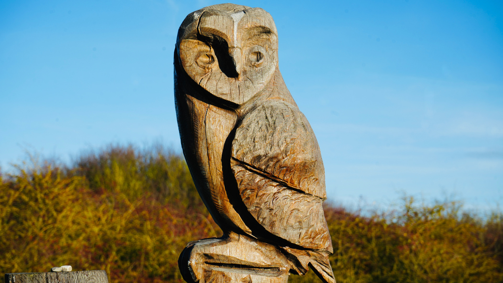 Gedling_Country_Park_Sculpture Gedling Country Park Owl Sculpture