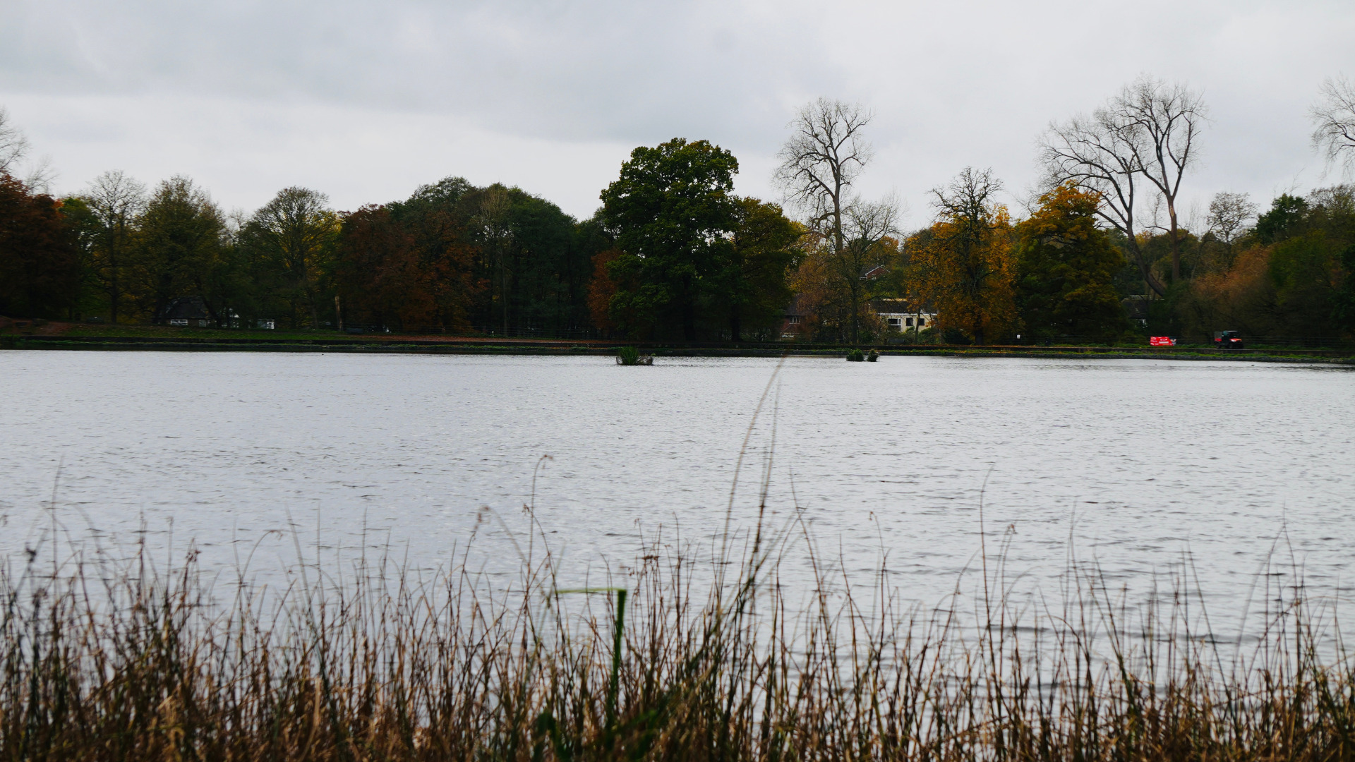 The Lake At Wollaton Hall