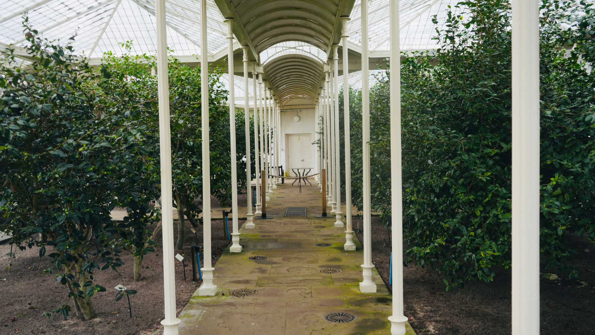 Inside the orangery at Wollaton Hall