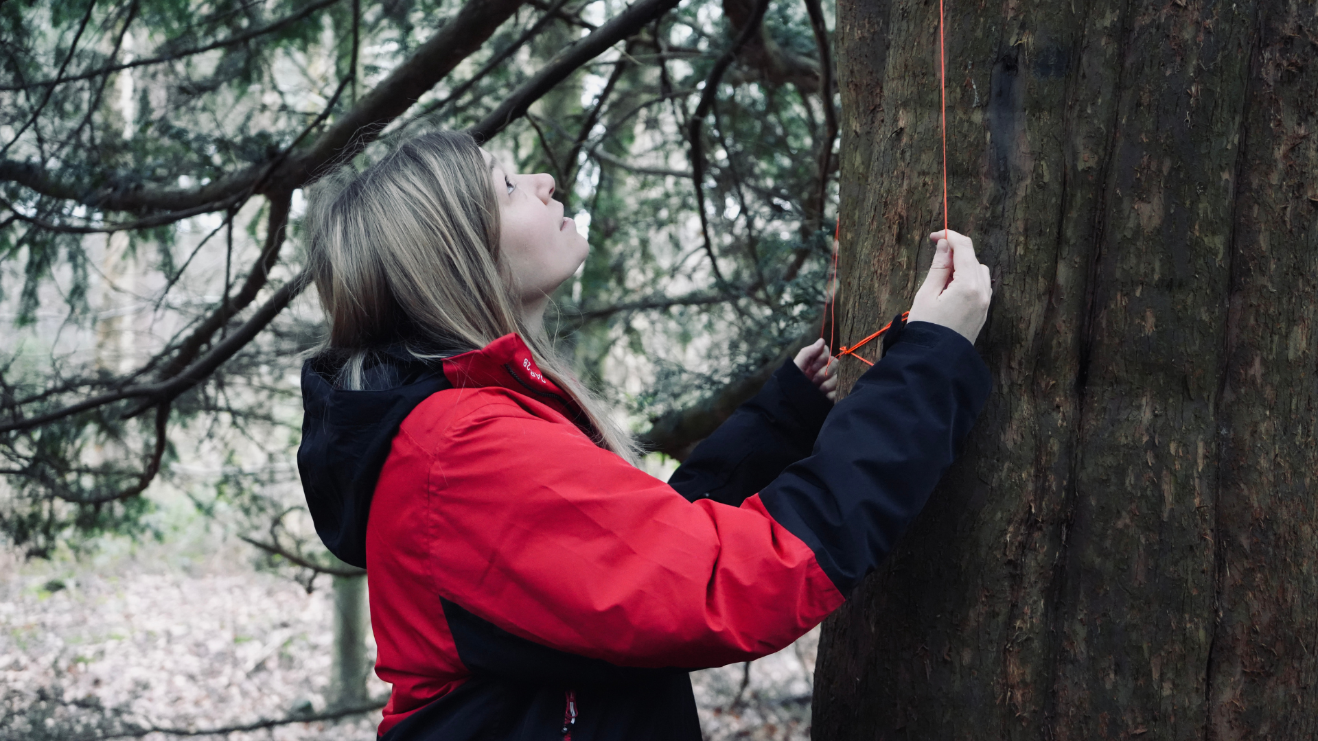 Clumber_Park_Nottingham_Geocache