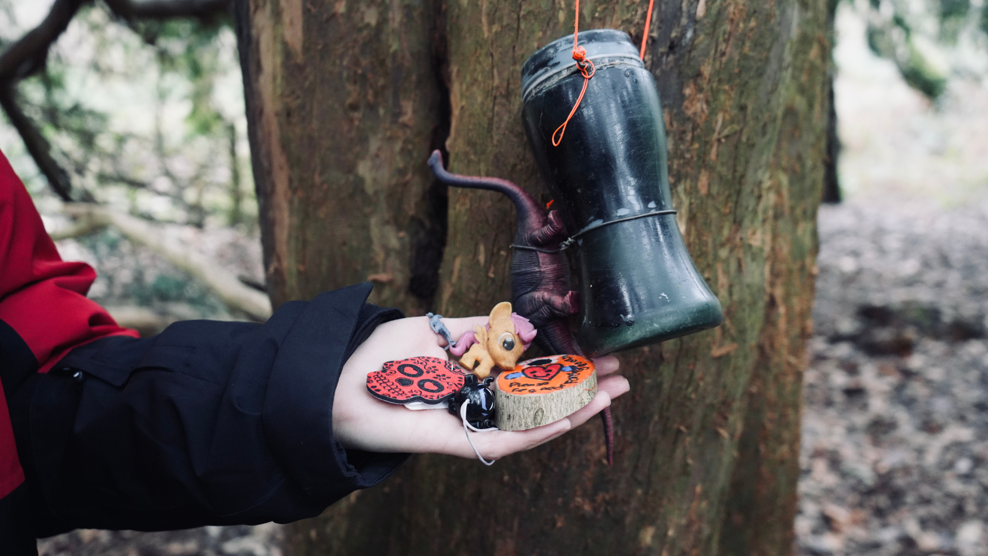 Geocaching_The_Nottm_Lass_Clumber_Park