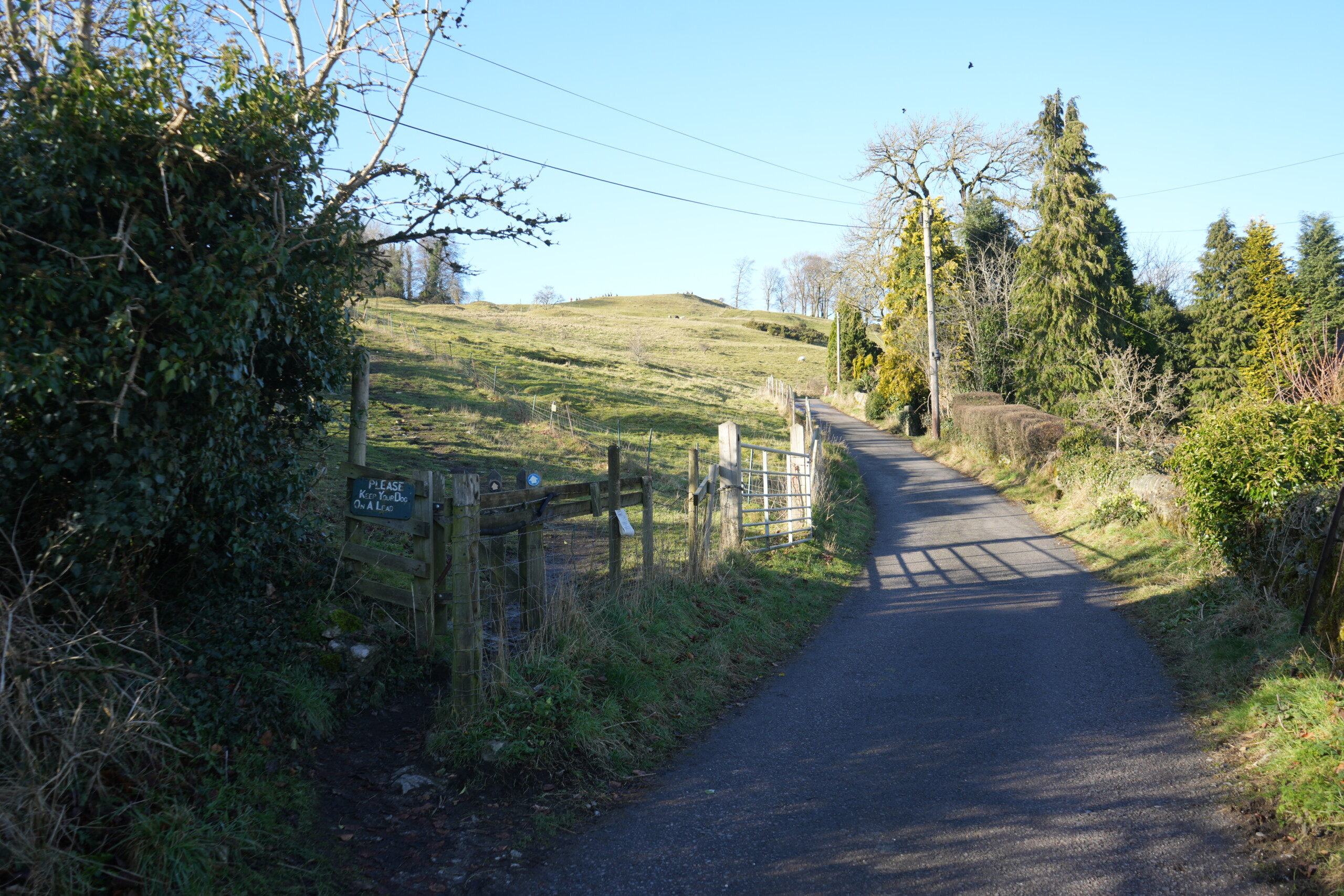 Cliff_Bottom A rural country lane leading towards rolling green fields under a clear blue sky. To the left, a wooden gate provides access to a footpath across the open hillside, with a sign reminding walkers to stay on the path. A metal farm gate stands slightly ajar further up the lane, bordered by wooden fencing. Trees and hedgerows line the right side of the road, with a tall yellow post standing among them. Shadows from the trees stretch across the road, creating a peaceful countryside scene.