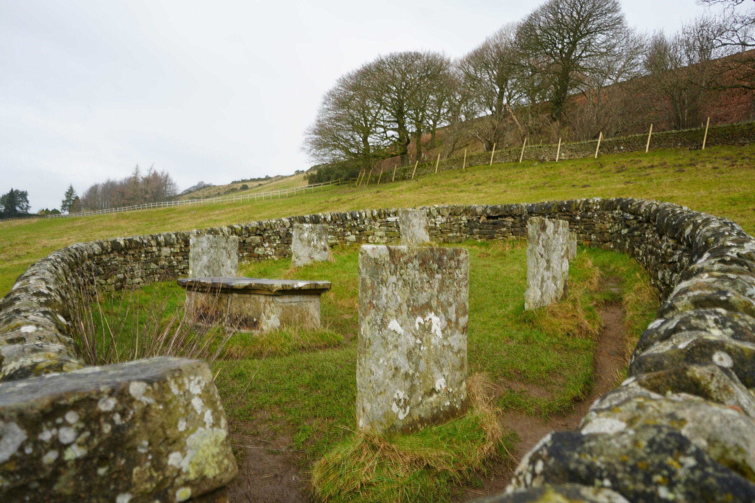 Looking_In_Riley_Graves_Wall A view inside the Riley Graves enclosure in Eyam, England, showing weathered stone gravestones arranged in a circle within a low dry-stone wall. The headstones are aged and covered in lichen, marking the resting place of Elizabeth Hancock's family, who perished during the 1665 plague. A stone table tomb is also present in the centre. The surrounding landscape consists of rolling hills, wooden fences, and scattered trees under an overcast sky, adding to the solemn and historic atmosphere of the site.