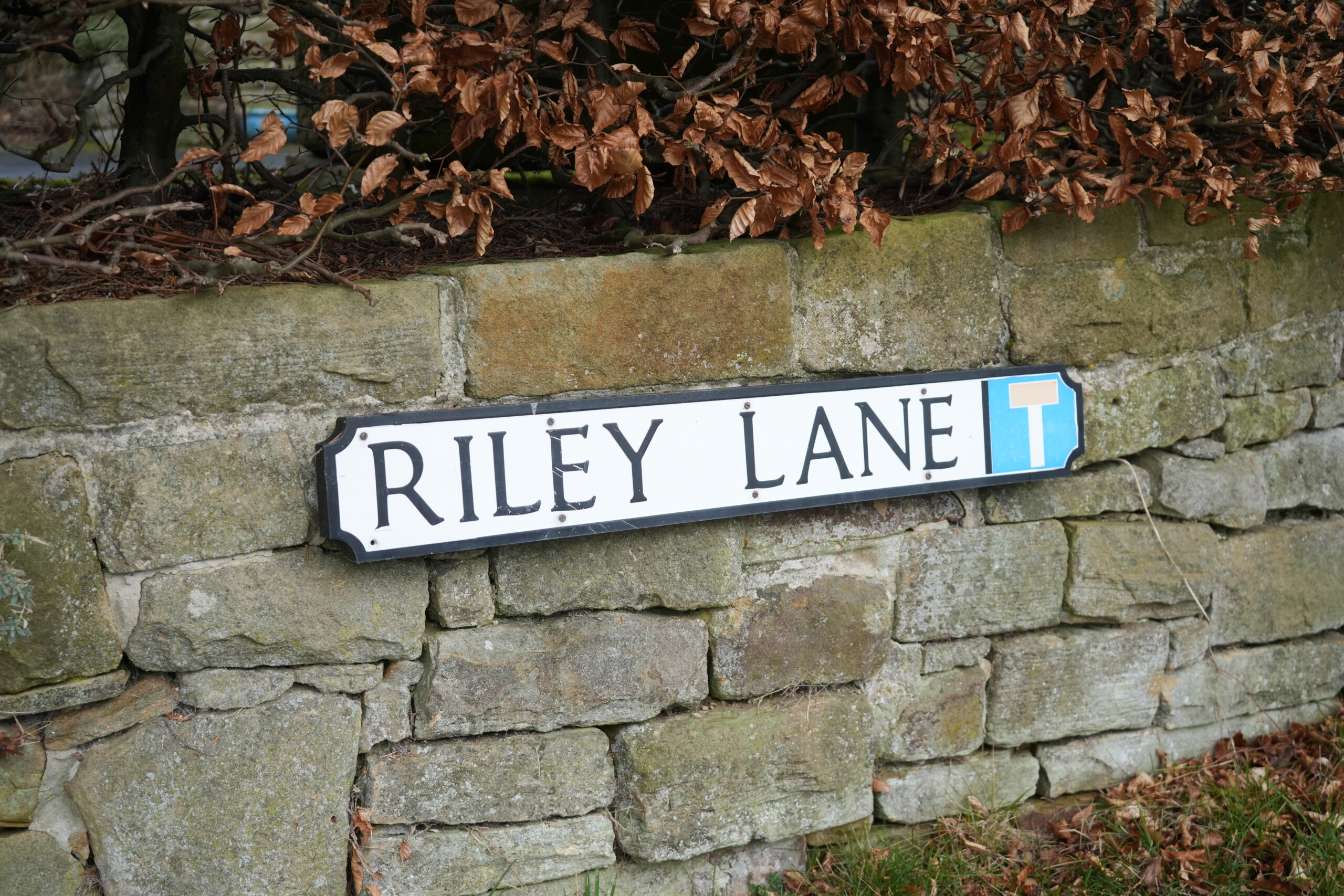 Riley_Lane_Eyam A white street sign with black lettering reading 'Riley Lane' is mounted on an old stone wall in Eyam, England. A blue 'T' symbol at the end of the sign indicates a dead-end road. Above the sign, dried brown leaves from a hedge overhang the wall. The weathered stone and foliage add a rustic charm to this quaint village scene.