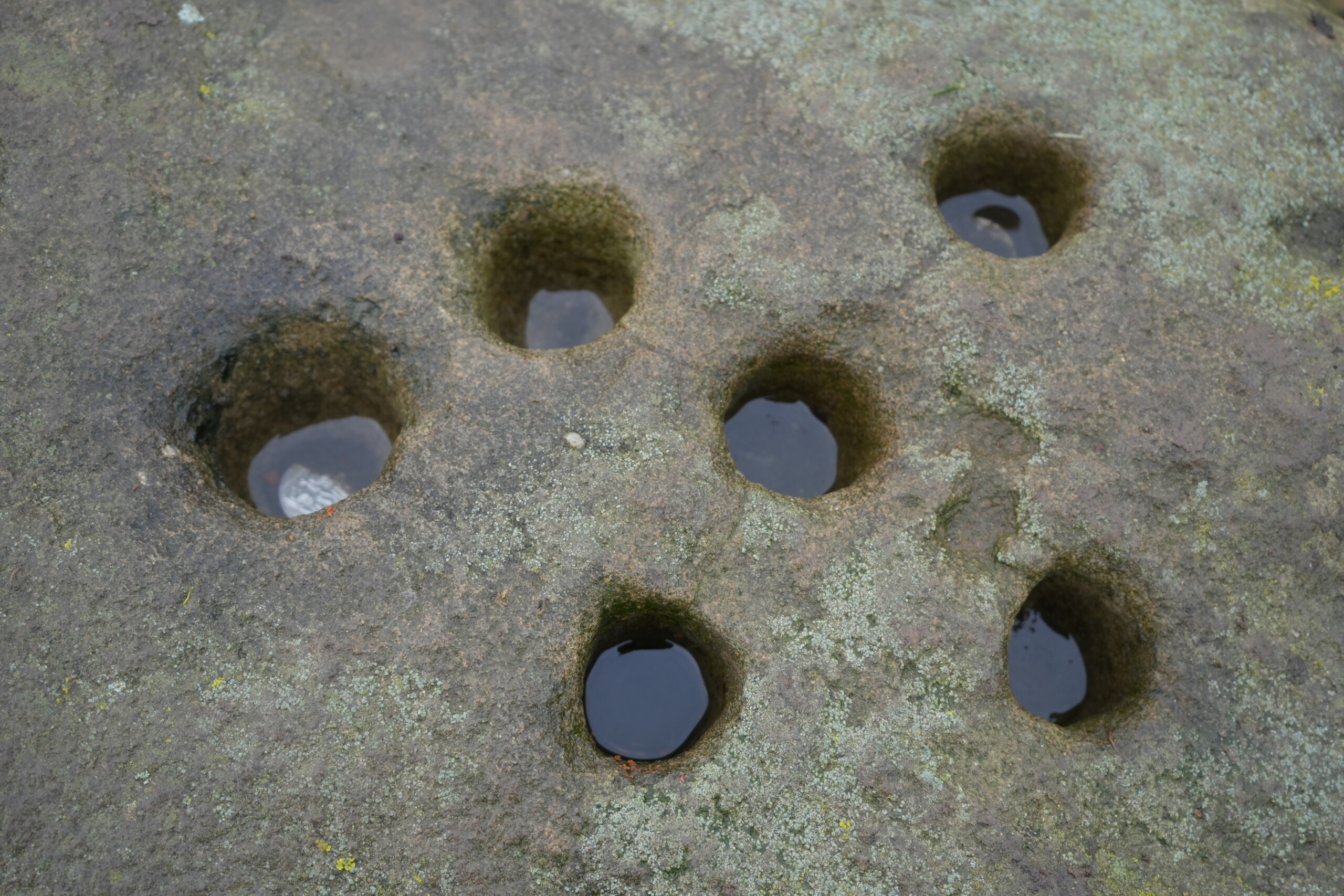 The_Boundary_Stone_Holes A close-up view of the Boundary Stone, showing a series of small, circular holes carved into the weathered and moss-covered rock. The depressions are filled with water, reflecting the surroundings. The stone’s rough texture and natural lichen growth are visible, hinting at its historical significance.