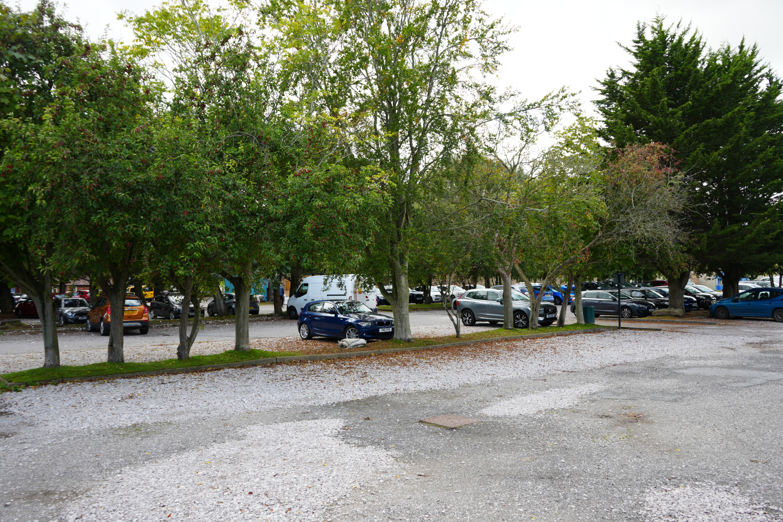 Where to park at The Duke Of Lancaster