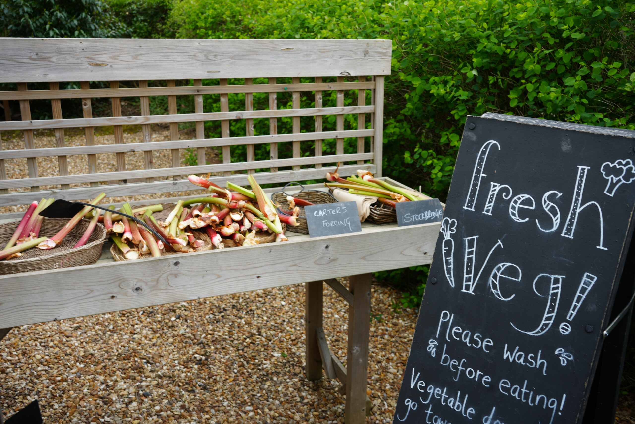 Freshly Harvested Rhubarb Display With Chalkboard Sign At The Workhouse Southwell Nottinghamshire England Fresh veg to buy at the Workhouse in Southwell